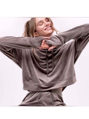 Aerie Plush Dreamy Velour Y2K Cropped Hoodie in Mauve Taupe. Size XS.